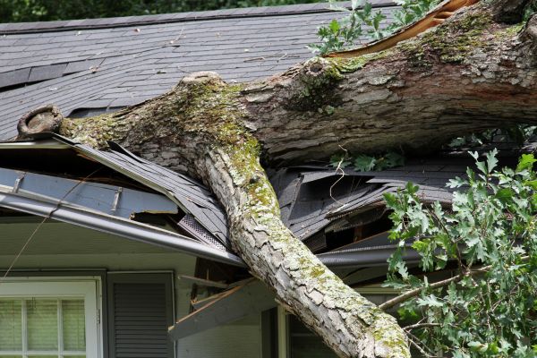 Storm Remediation in Lees Summit