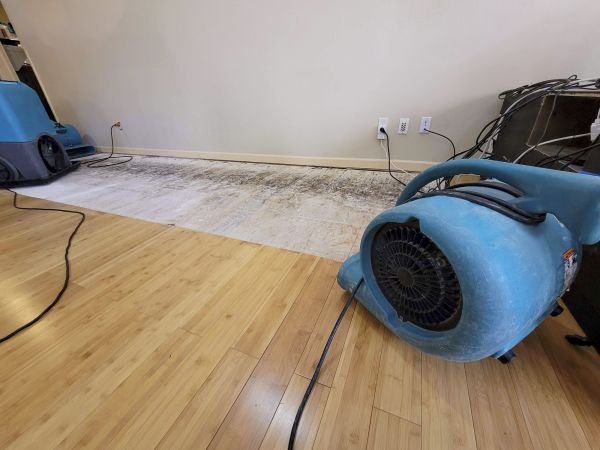 Water Damage Mitigation in Lees Summit