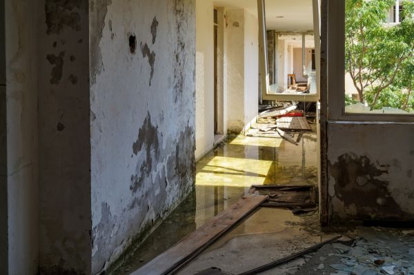 Cost of Water Removal Service in Lees Summit