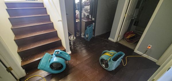 Water Damage Remediation in Lees Summit