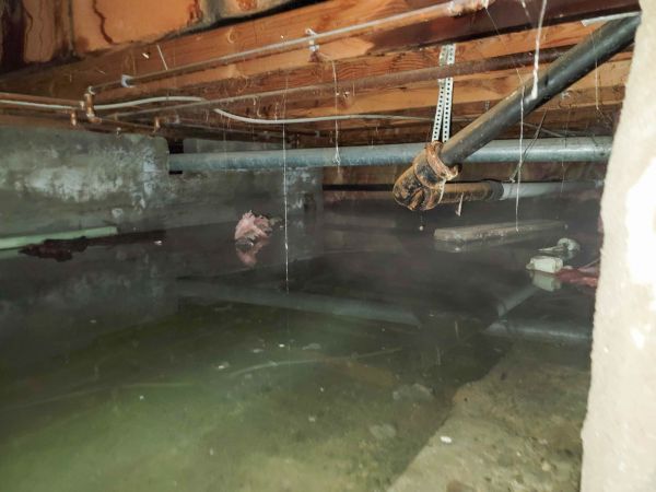 Water Mitigation Service in Lees Summit