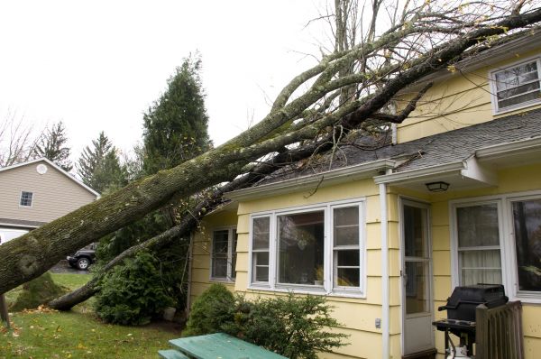 Hurricane Damage Repair in Lees Summit